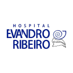 Logo Virginia Ribeiro